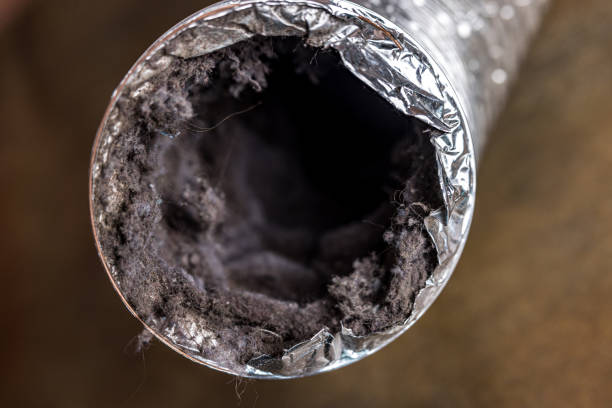 Best Ductwork Cleaning Services  in Seminole, FL