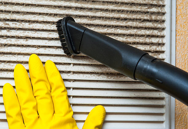 Best Air Duct Sanitizing Services  in Seminole, FL